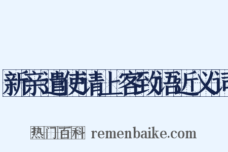 新亲遣使请上客致语近义词是什么意思的图片